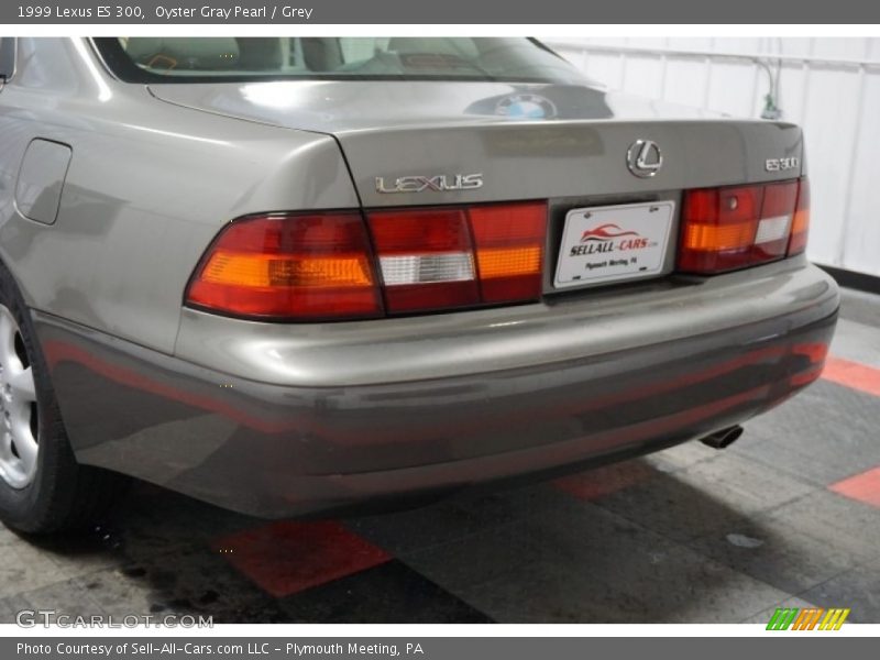 Oyster Gray Pearl / Grey 1999 Lexus ES 300