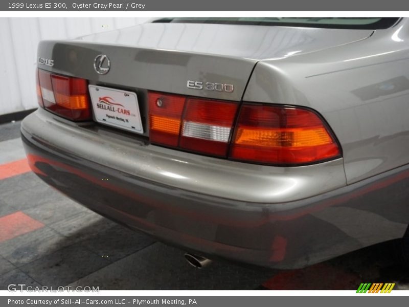 Oyster Gray Pearl / Grey 1999 Lexus ES 300