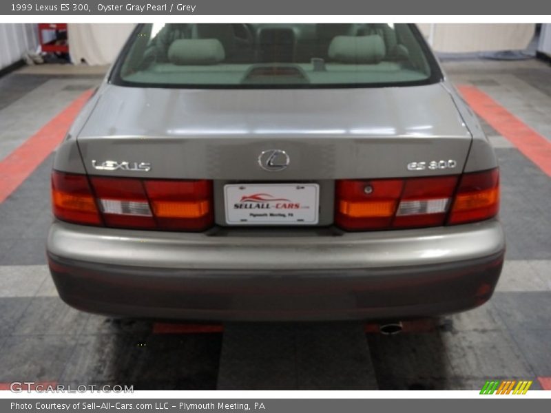 Oyster Gray Pearl / Grey 1999 Lexus ES 300