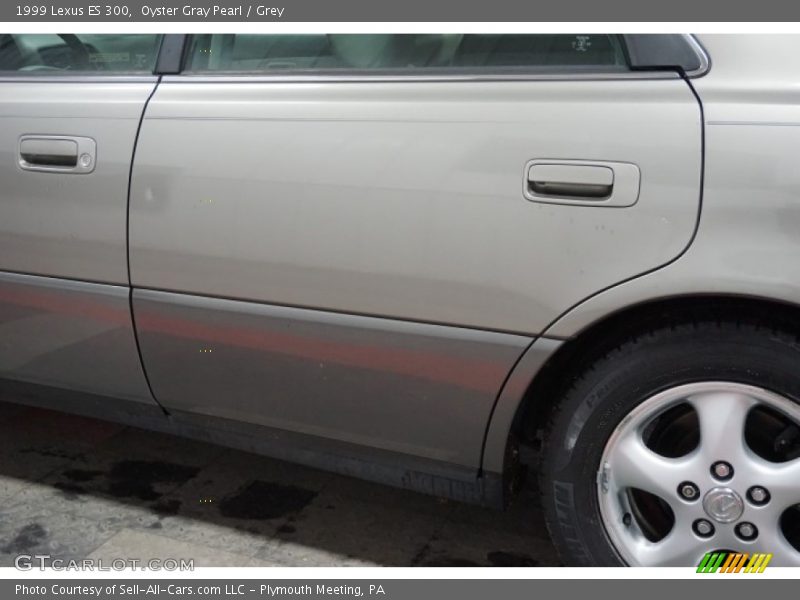 Oyster Gray Pearl / Grey 1999 Lexus ES 300