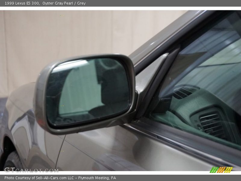 Oyster Gray Pearl / Grey 1999 Lexus ES 300