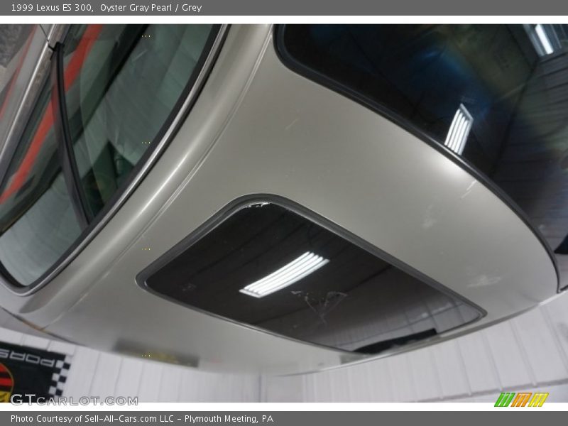 Oyster Gray Pearl / Grey 1999 Lexus ES 300