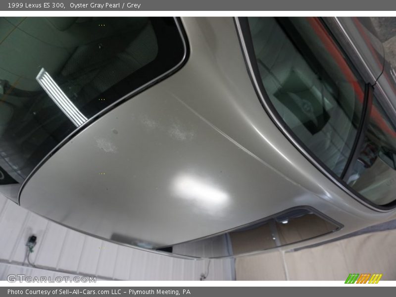 Oyster Gray Pearl / Grey 1999 Lexus ES 300