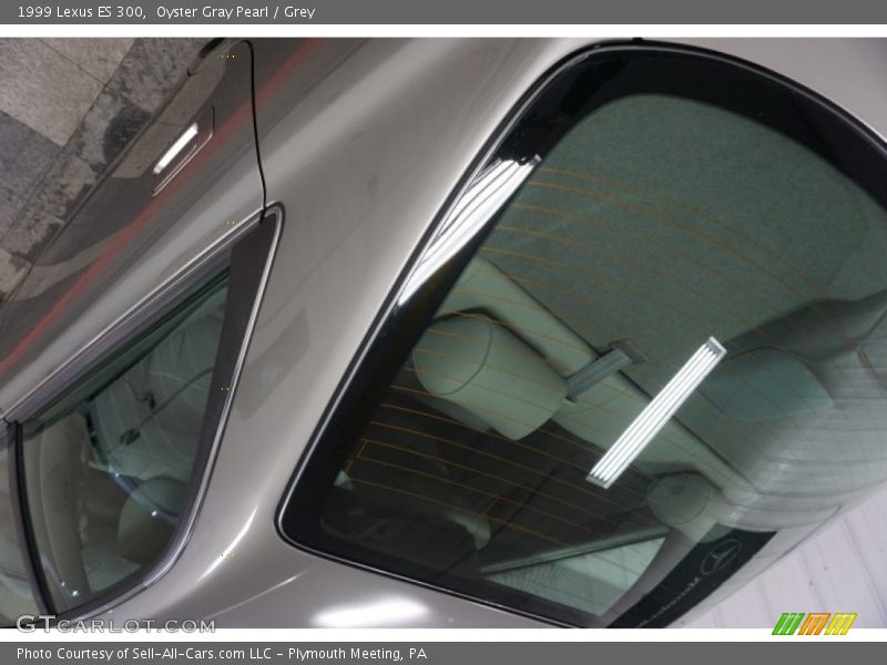 Oyster Gray Pearl / Grey 1999 Lexus ES 300