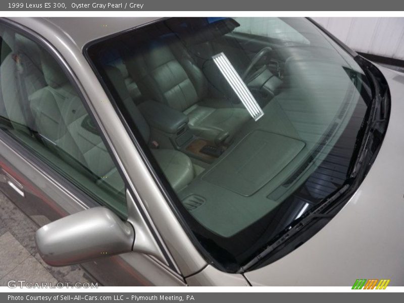 Oyster Gray Pearl / Grey 1999 Lexus ES 300