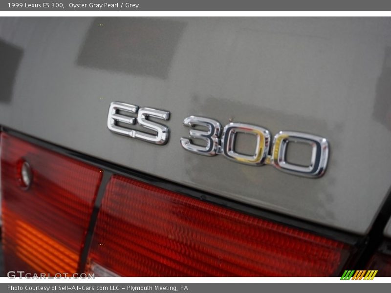 Oyster Gray Pearl / Grey 1999 Lexus ES 300
