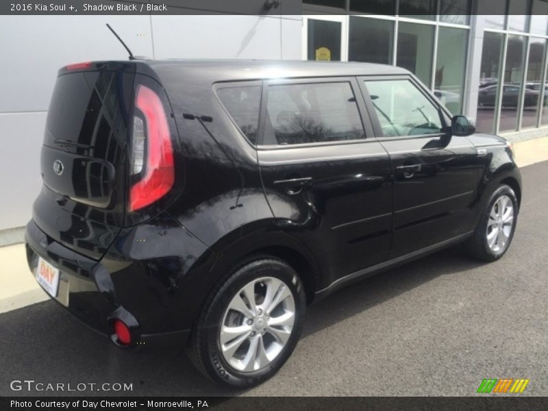 Shadow Black / Black 2016 Kia Soul +