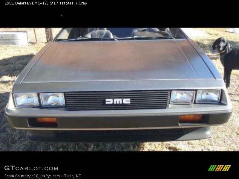 Stainless Steel / Gray 1981 Delorean DMC-12