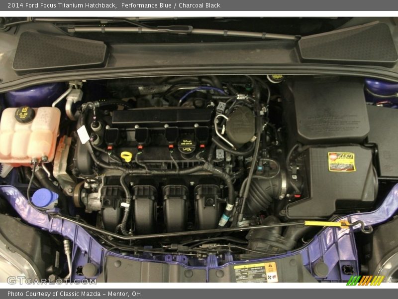 Performance Blue / Charcoal Black 2014 Ford Focus Titanium Hatchback