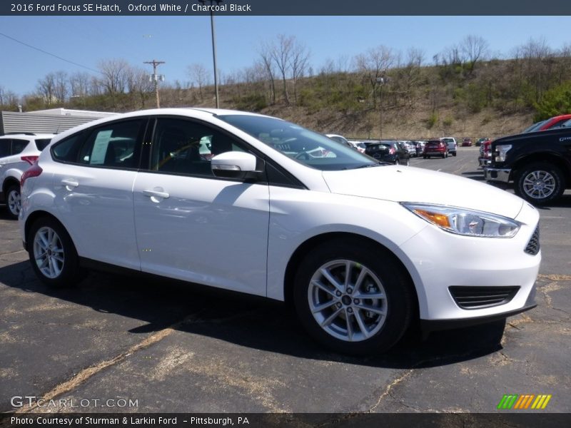 Front 3/4 View of 2016 Focus SE Hatch