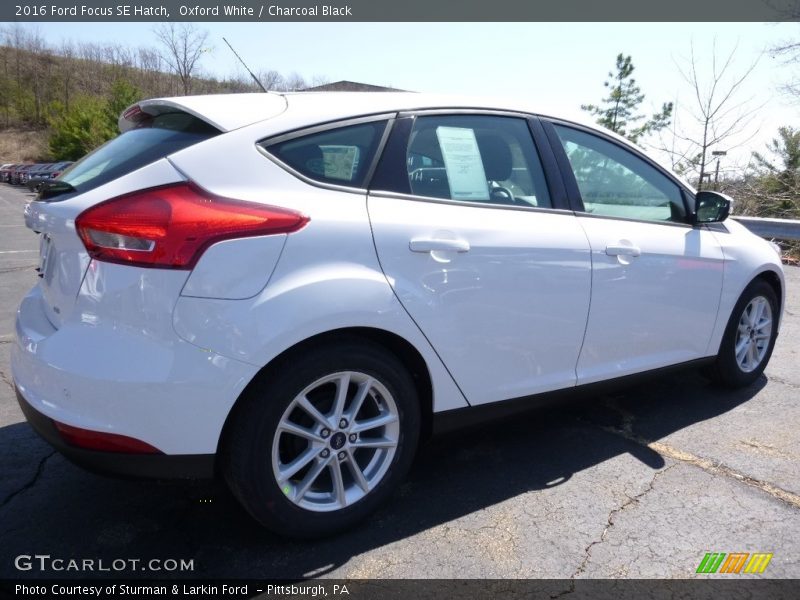 Oxford White / Charcoal Black 2016 Ford Focus SE Hatch