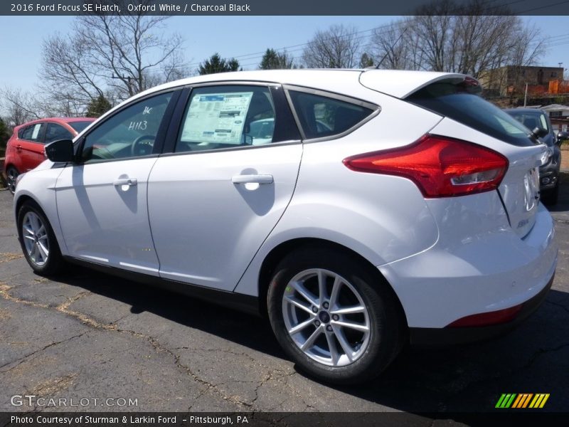Oxford White / Charcoal Black 2016 Ford Focus SE Hatch