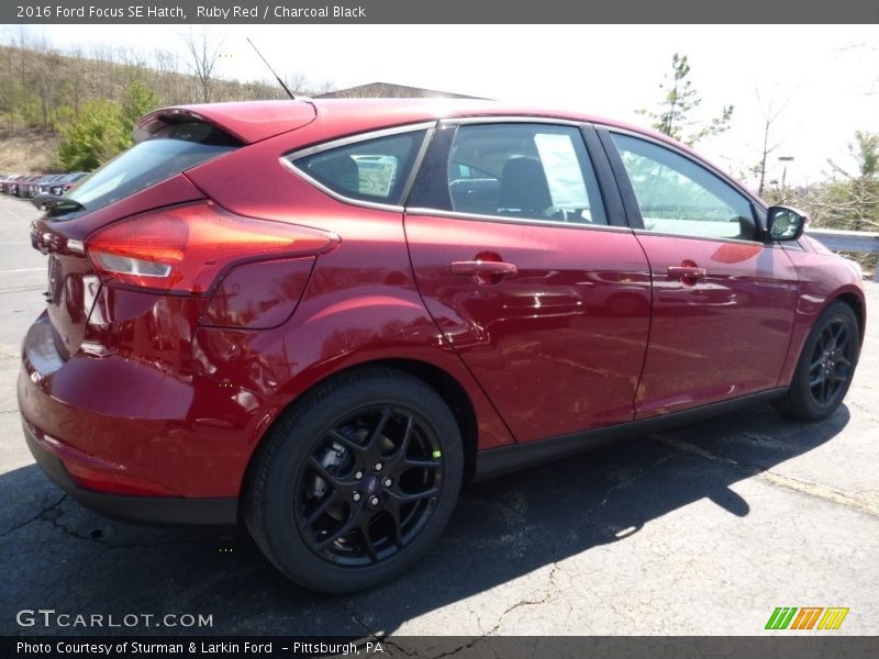 Ruby Red / Charcoal Black 2016 Ford Focus SE Hatch