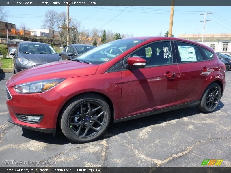 Ruby Red / Charcoal Black 2016 Ford Focus SE Hatch