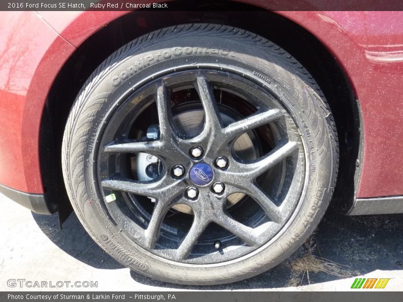 Ruby Red / Charcoal Black 2016 Ford Focus SE Hatch