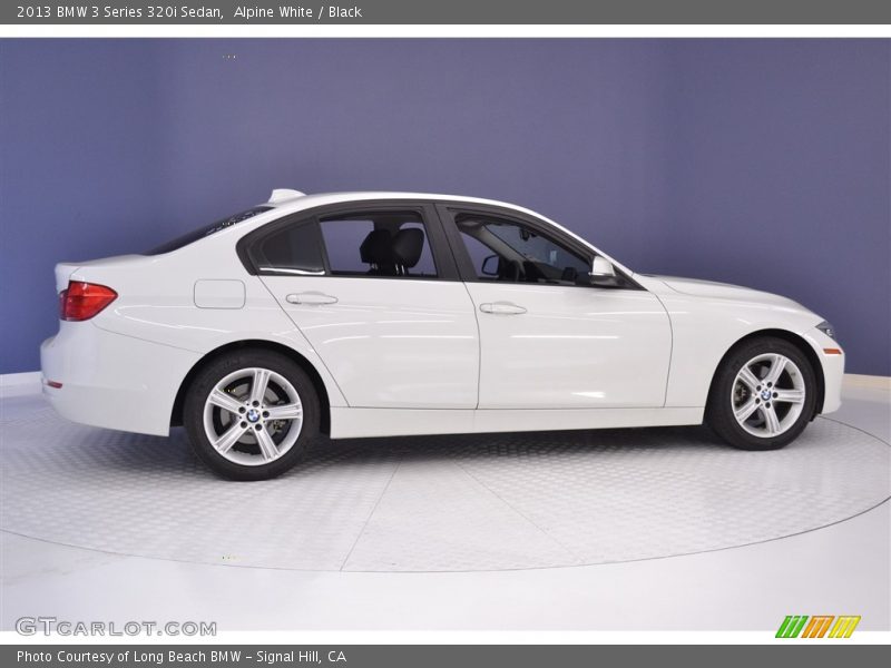 Alpine White / Black 2013 BMW 3 Series 320i Sedan