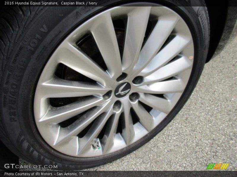 Caspian Black / Ivory 2016 Hyundai Equus Signature