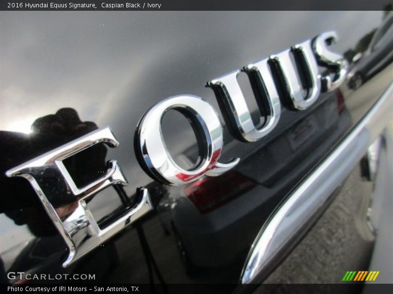 Caspian Black / Ivory 2016 Hyundai Equus Signature
