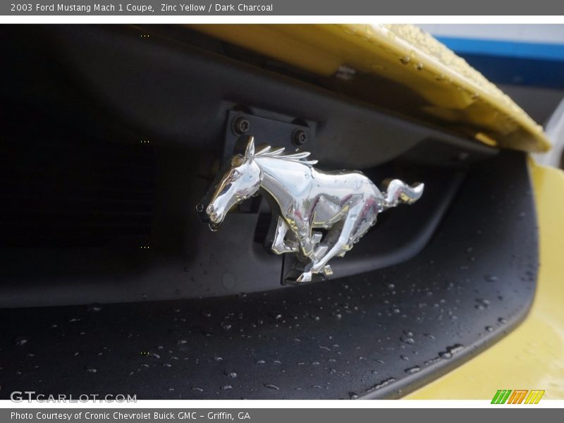 Zinc Yellow / Dark Charcoal 2003 Ford Mustang Mach 1 Coupe
