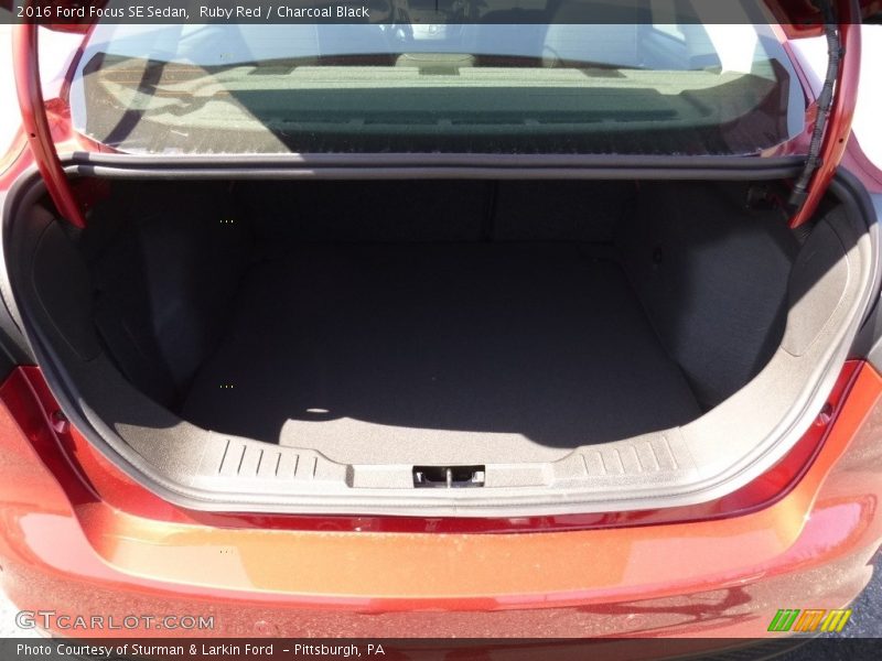 Ruby Red / Charcoal Black 2016 Ford Focus SE Sedan