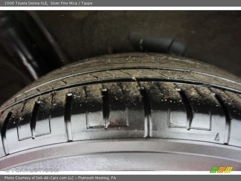 Silver Pine Mica / Taupe 2006 Toyota Sienna XLE