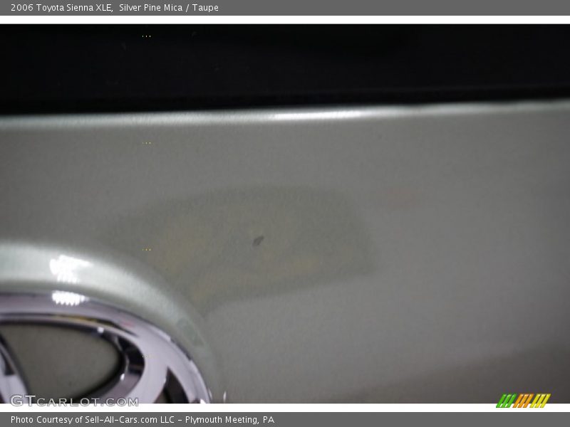 Silver Pine Mica / Taupe 2006 Toyota Sienna XLE