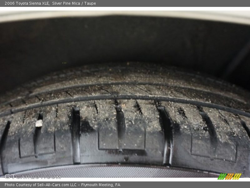 Silver Pine Mica / Taupe 2006 Toyota Sienna XLE