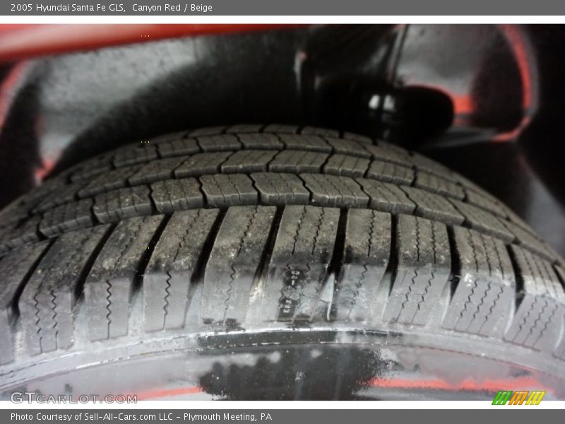 Canyon Red / Beige 2005 Hyundai Santa Fe GLS