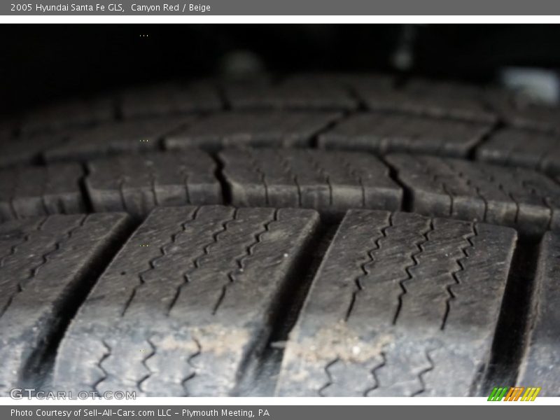 Canyon Red / Beige 2005 Hyundai Santa Fe GLS
