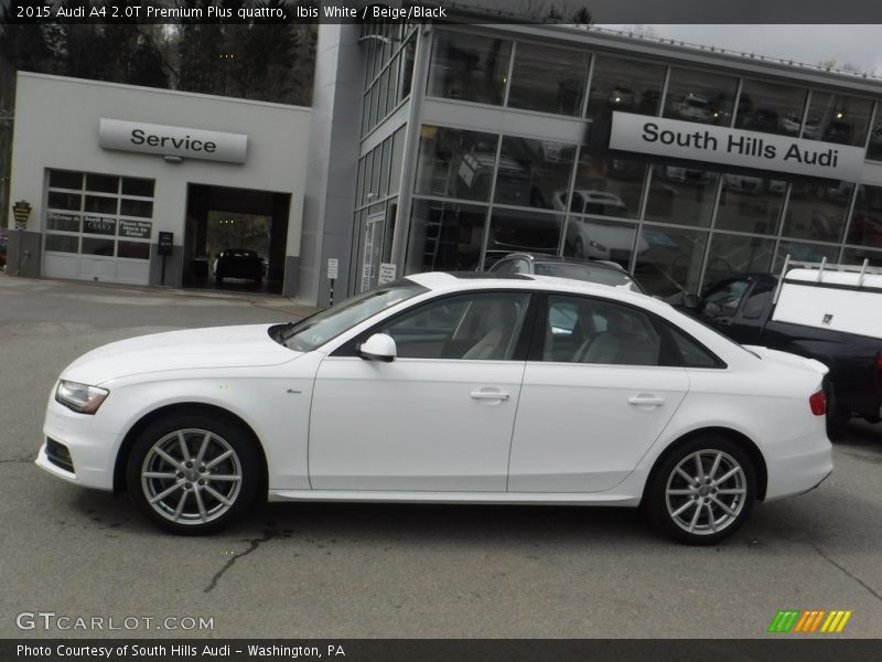 Ibis White / Beige/Black 2015 Audi A4 2.0T Premium Plus quattro
