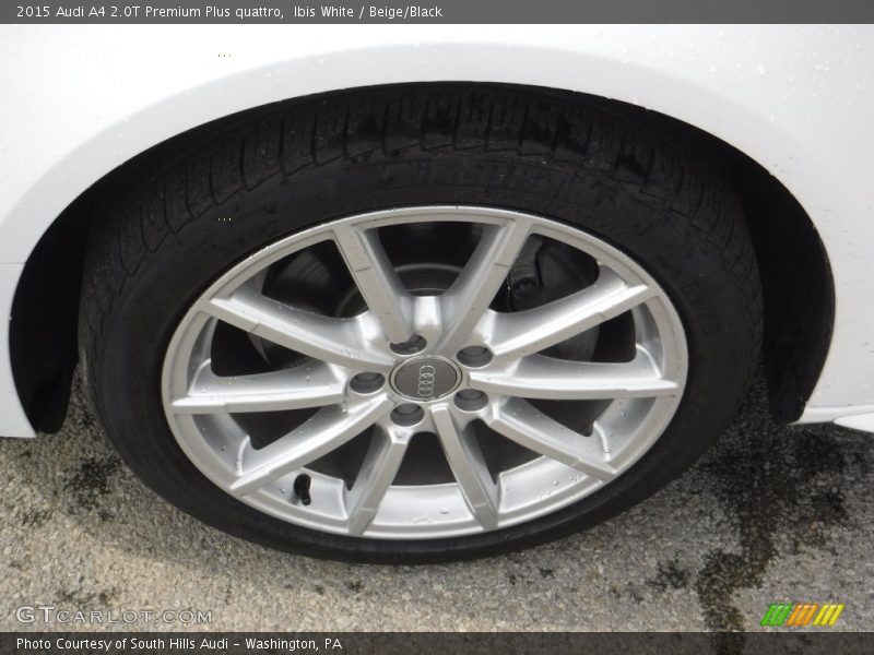 Ibis White / Beige/Black 2015 Audi A4 2.0T Premium Plus quattro