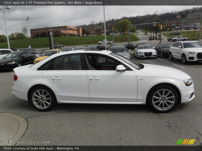 Ibis White / Beige/Black 2015 Audi A4 2.0T Premium Plus quattro