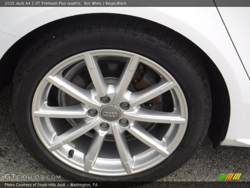 Ibis White / Beige/Black 2015 Audi A4 2.0T Premium Plus quattro
