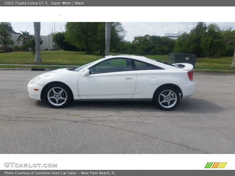  2001 Celica GT-S Super White