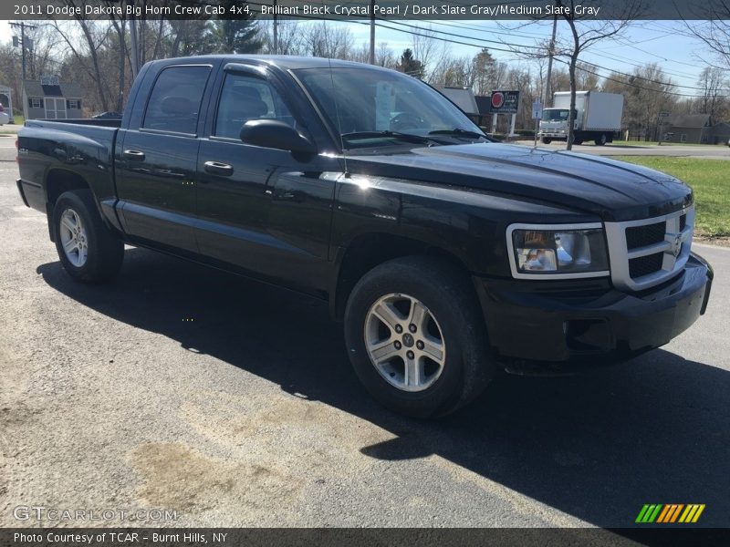 Brilliant Black Crystal Pearl / Dark Slate Gray/Medium Slate Gray 2011 Dodge Dakota Big Horn Crew Cab 4x4