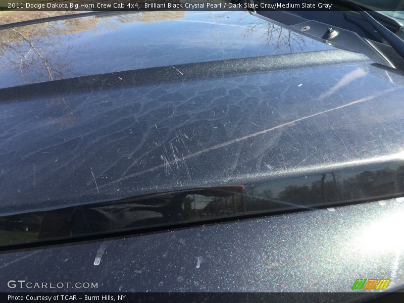 Brilliant Black Crystal Pearl / Dark Slate Gray/Medium Slate Gray 2011 Dodge Dakota Big Horn Crew Cab 4x4