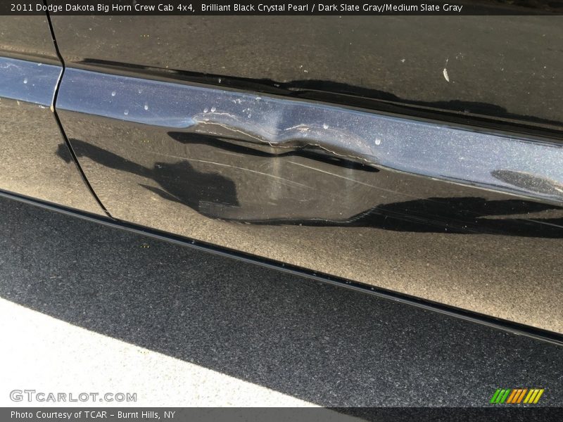 Brilliant Black Crystal Pearl / Dark Slate Gray/Medium Slate Gray 2011 Dodge Dakota Big Horn Crew Cab 4x4