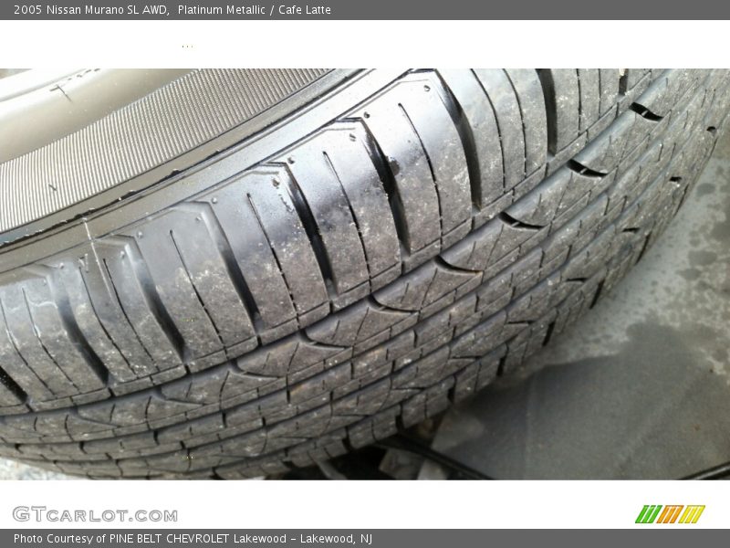Platinum Metallic / Cafe Latte 2005 Nissan Murano SL AWD
