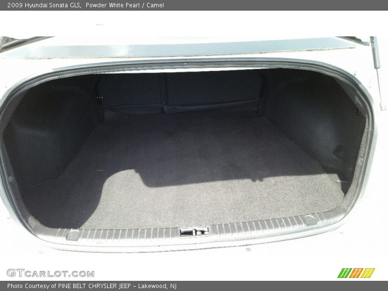 Powder White Pearl / Camel 2009 Hyundai Sonata GLS
