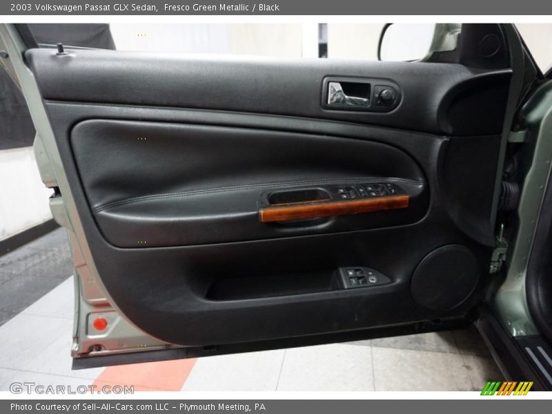 Fresco Green Metallic / Black 2003 Volkswagen Passat GLX Sedan
