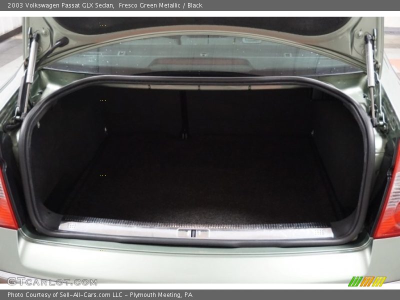 Fresco Green Metallic / Black 2003 Volkswagen Passat GLX Sedan