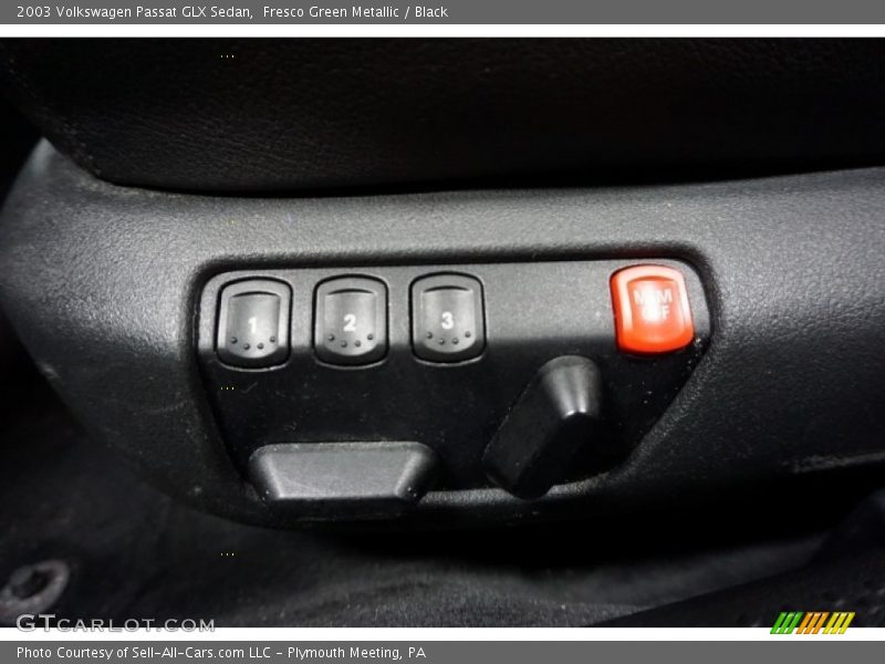 Fresco Green Metallic / Black 2003 Volkswagen Passat GLX Sedan