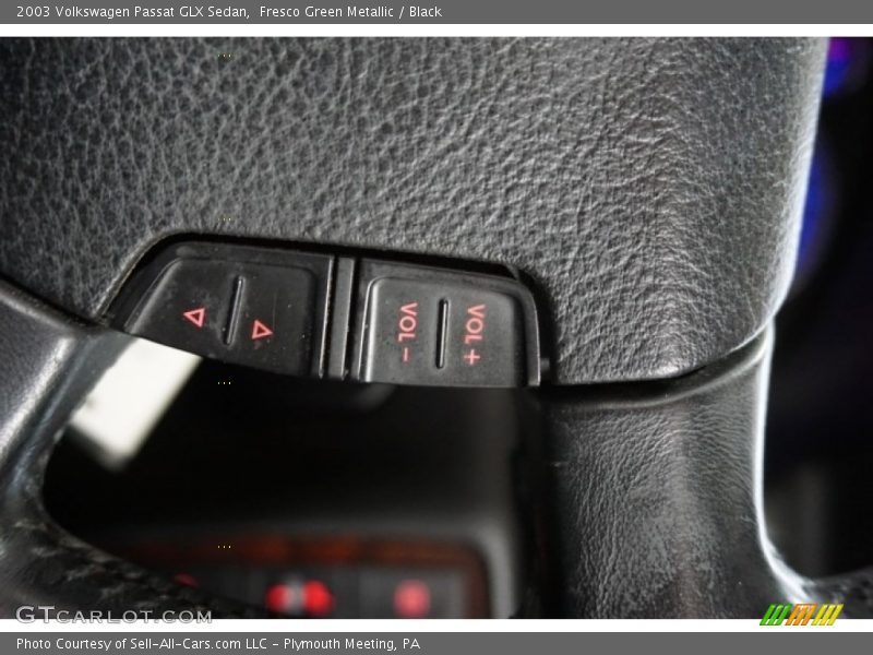 Fresco Green Metallic / Black 2003 Volkswagen Passat GLX Sedan