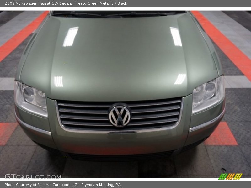 Fresco Green Metallic / Black 2003 Volkswagen Passat GLX Sedan