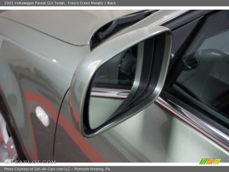 Fresco Green Metallic / Black 2003 Volkswagen Passat GLX Sedan