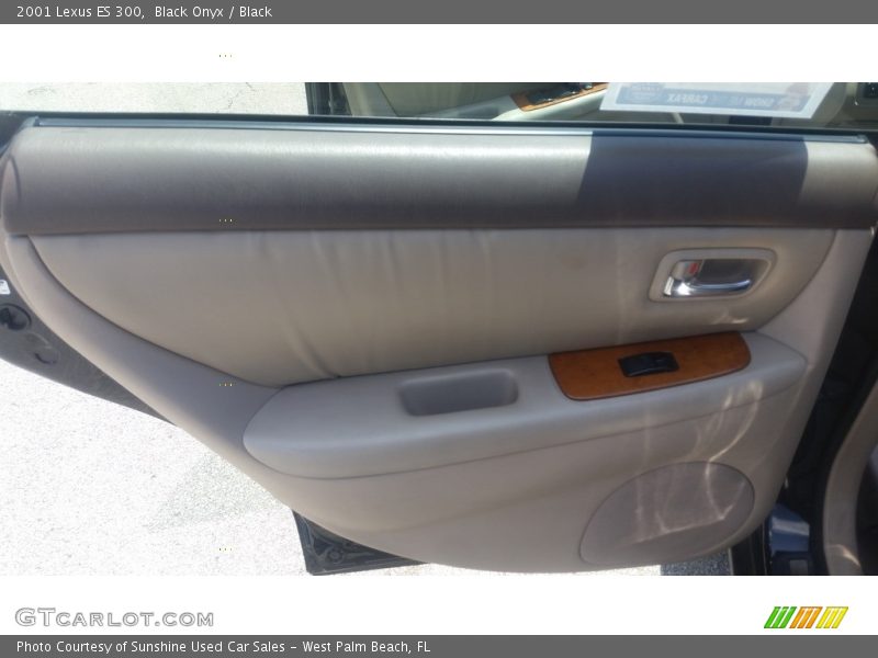 Black Onyx / Black 2001 Lexus ES 300