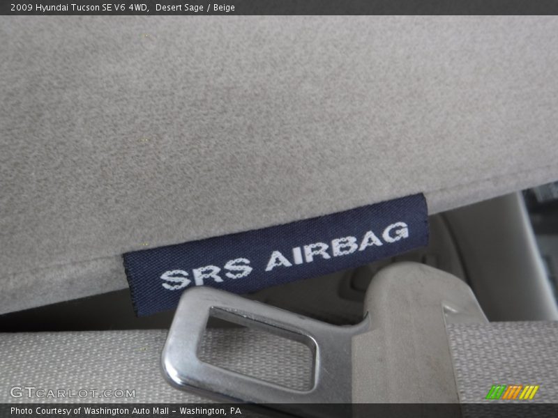 Desert Sage / Beige 2009 Hyundai Tucson SE V6 4WD