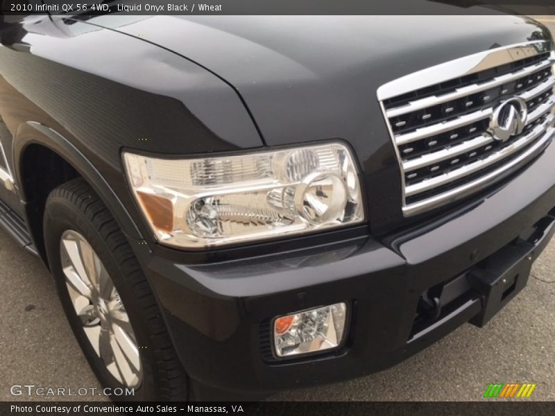 Liquid Onyx Black / Wheat 2010 Infiniti QX 56 4WD