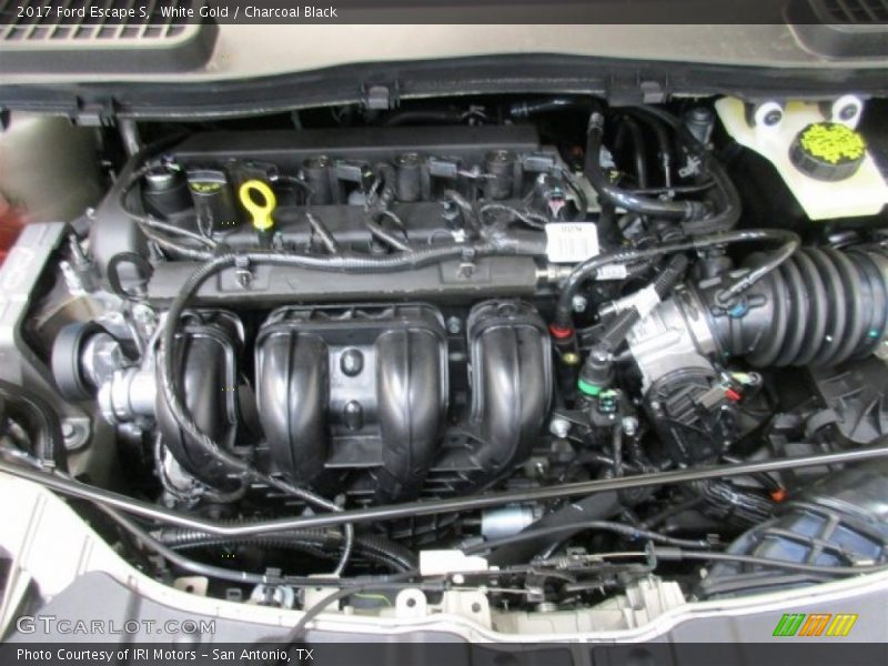 White Gold / Charcoal Black 2017 Ford Escape S