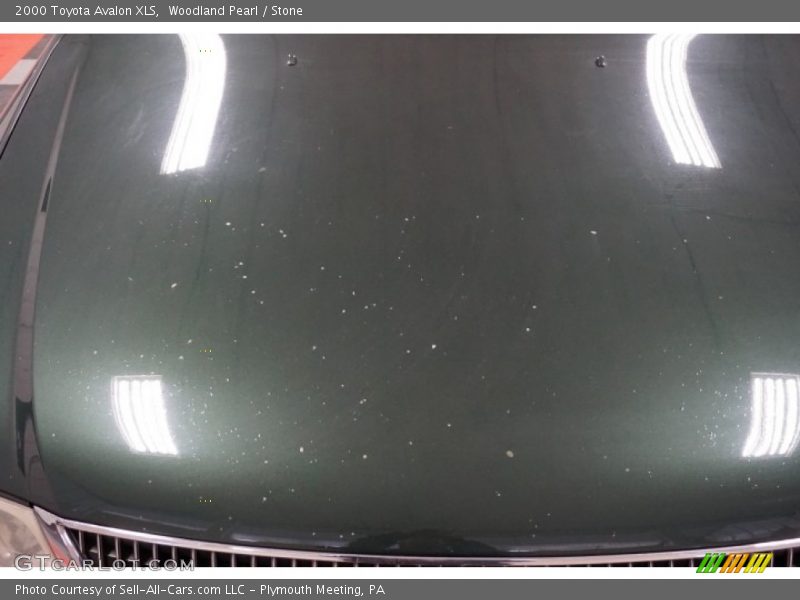 Woodland Pearl / Stone 2000 Toyota Avalon XLS